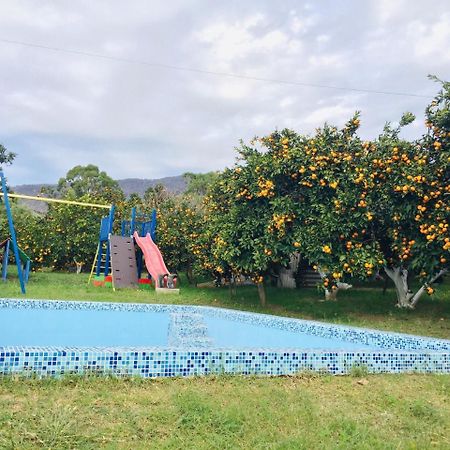 Holiday Home New Athos Екстер'єр фото