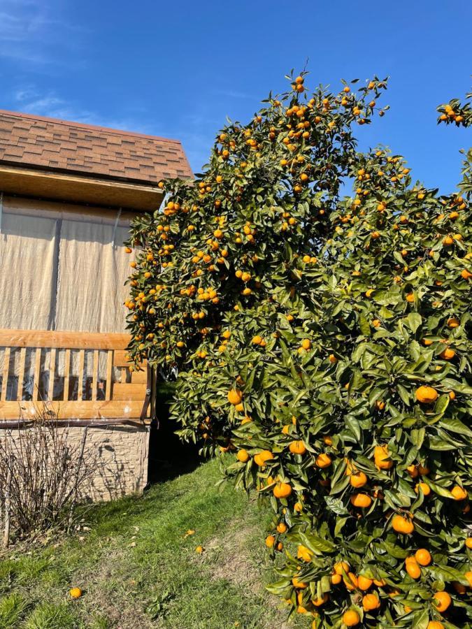 Holiday Home New Athos Екстер'єр фото